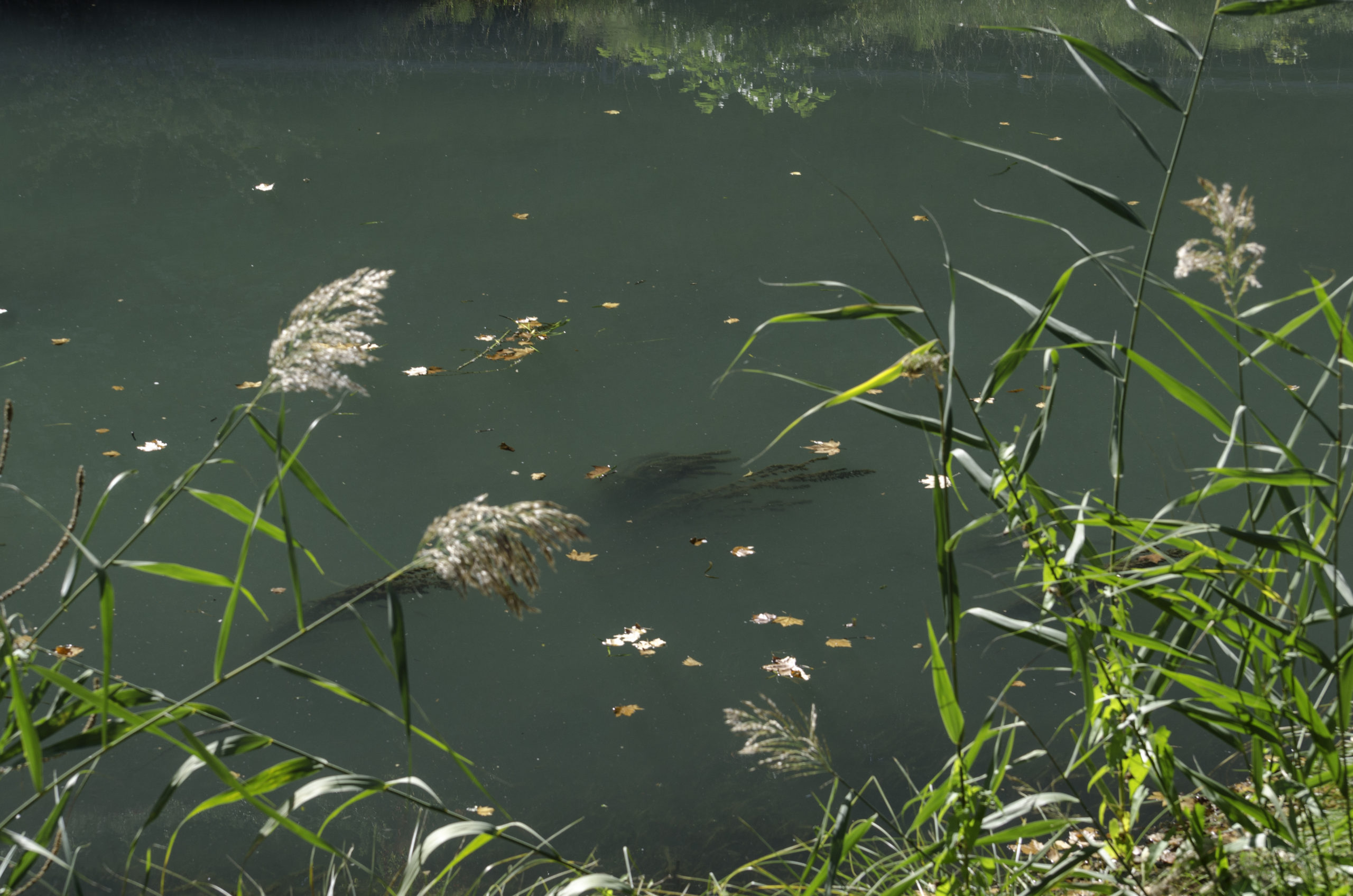 Balade en famille à Castillon la Bataille