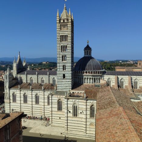 Découvrez la Réserve de Pineta à Pescara en famille !